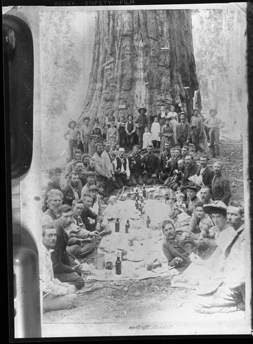 Misc. Groups, Early day picnic Grant Park, Misc. Visitor Activities