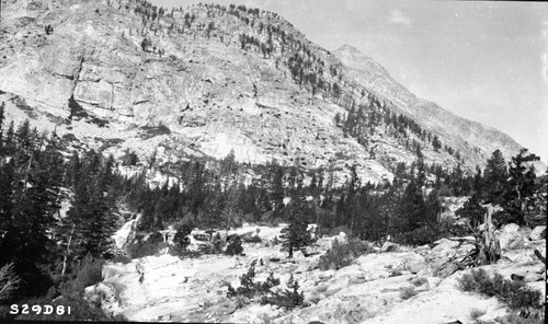 High Sierra Trail Investigation, bench at 9200' just above Rock Slide Lake. Subalpine Forest Plant Community