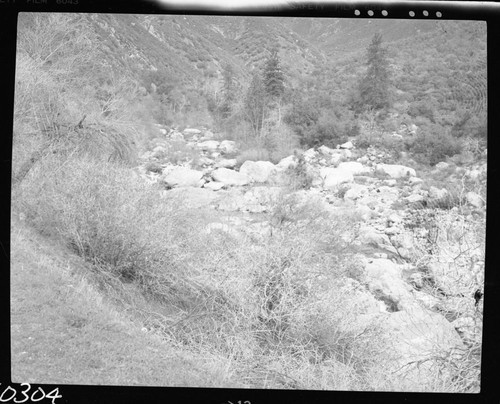 Middle Fork Kaweah River