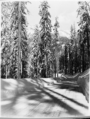 Winter scenes, Generals Highway near Lodgepole