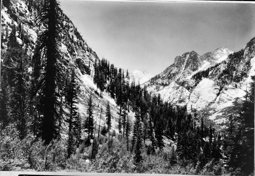 View into East Creek Canyon, Glaciated Canyons