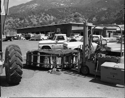 Giant Sequoia Sections, Loading stump for shipment to Iceland