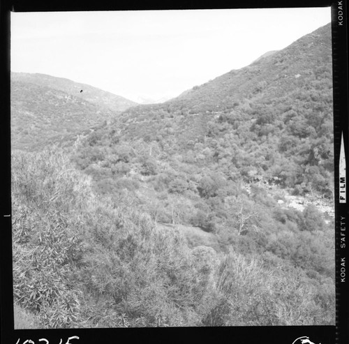 Chaparral Plant Community, Foothill Woodland Plant Community, Middle Fork Kaweah River Canyon