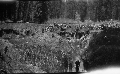 Floods and Storm Damage, erosion, Round Meadow. Misc. Resource Management Concerns