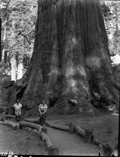 General Grant Tree, Individuals unidentified