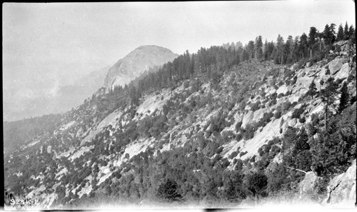 Moro Rock from High Sierra Trail. Mixed Coniferous Forest