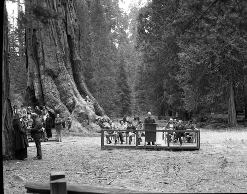 Nation's Christmas Tree Ceremony. Superintendent David Thompson, 1977