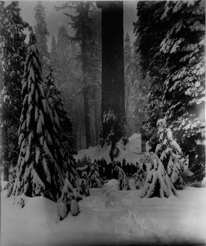 Nation's Christmas Tree Ceremony, 1936