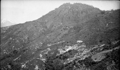 Chaparral Plant community, looking towards Milk Rang. 4300' Type Map