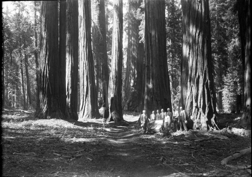 Dedications and Ceremonies, Founders Grove Dedication. Misc. Groups