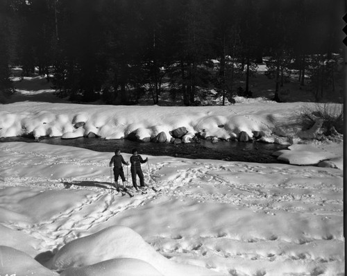 Skiing, Cross Country Skiers