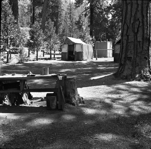 Concessioner Facilities, Camp Conterno, (Lewis Camp) Tent #4, Shower in rear