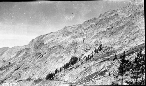 High Sierra Trail Investigation above Tamarack Lake 9500'. Subalpine Forest, Misc. Glaciation