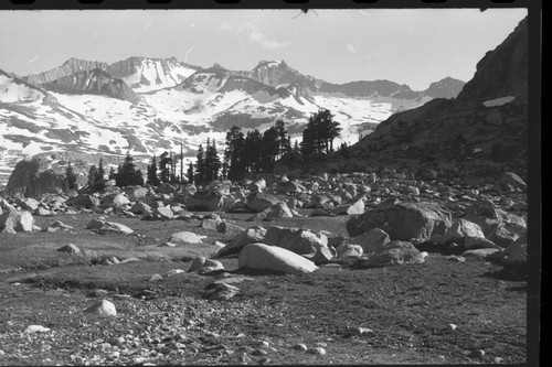 Kaweah Peaks, Kern-Kaweah Valley. Subalpine Meadow Plant Community