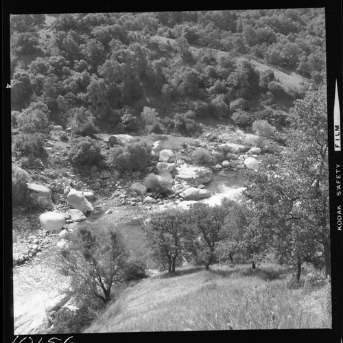 Middle Fork Kaweah River, Foothill Woodland Plant Community