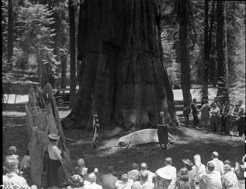 Dedications and Ceremonies, Susan B. Anthony Tree Dedication. Speaker unidentified