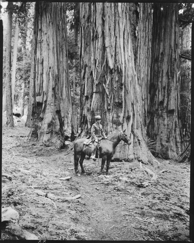 NPS Individuals, Chief Ranger Ford Spigelmyre. [8x10 print]