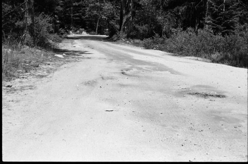 Roads, Floods and Storm Damage. Mineral King Road showing damage from severl winters without summer repairs