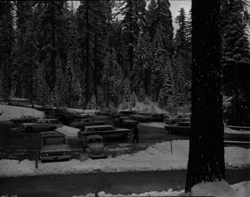 Nation's Christmas Tree Ceremony, 1965. Vehicular Use. Parking at Grant Tree