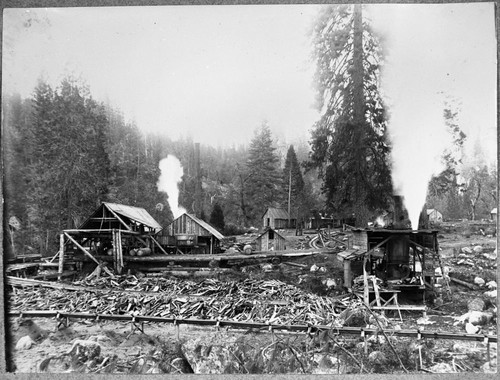 P.E. Stock 060000, Converse Basin, Logging, Upper mill taken day before it burned down