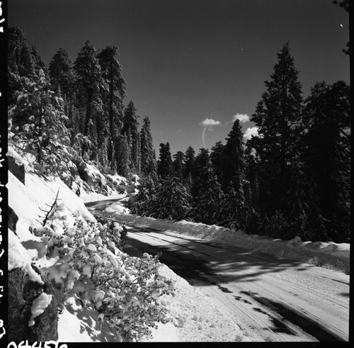 Winter Scenes, Generals Highway in snow