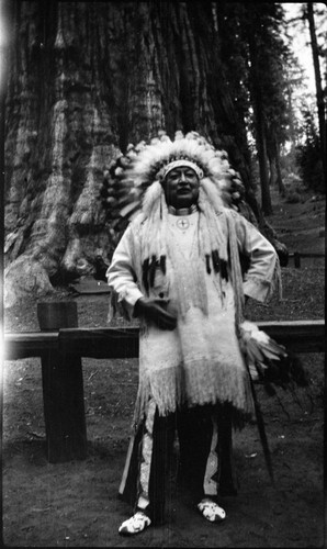 Historic Individuals, Thunderbird Chief from Cheyenne Wyoming at Sherman Tree