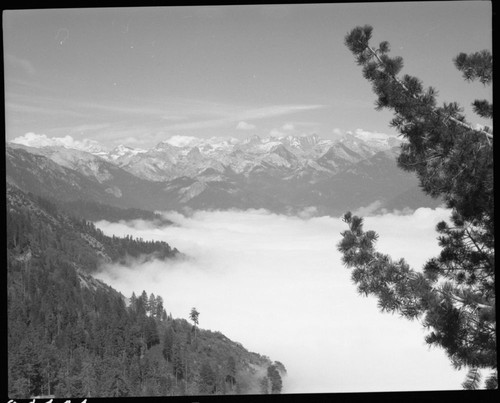 Fog in Kaweah Canyon, looking east, Clouds, Great Western Divide, Middle Fork Kaweah River Canyon