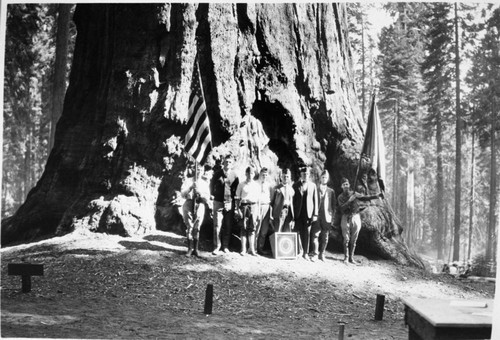 Dedications and ceremonies, Misc. Groups: Presidents Tree dedications