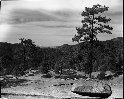 Misc. Domes, Ponderosa Pine, Foothills from Beetle Rock, Top of Beetle Rock, looking west