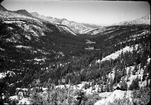 Evolution Valley, Glaciated Canyons, Lodgepole Pine Forest Plant Community