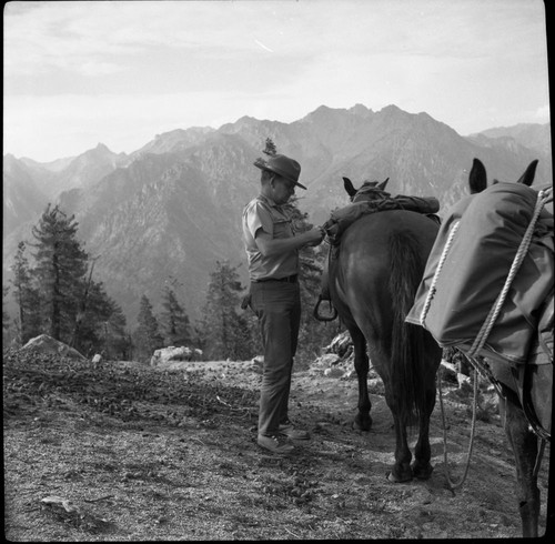 Ranger Activities, Tricky Lewis packing mule for backcountry patrol, NPS Individuals