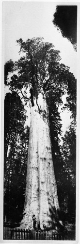 Military, General Sherman Tree, Administration, 060900