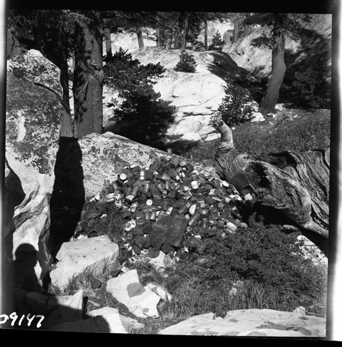 Backcountry cleanup, can dump