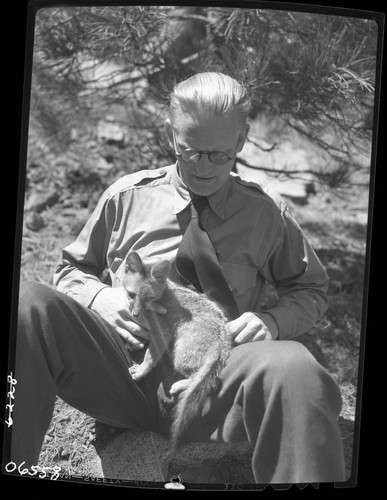 NPS Individuals, Gray Fox pup being held by Frank Been, Chief Naturalist