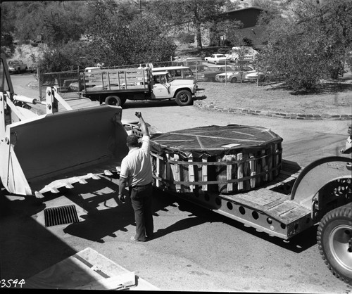 Giant Sequoia Sections, Loading stump for shipment to Iceland