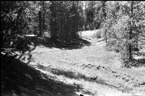 Meadow Studies, #10 shows view downstream left side of meadow. Misc. Resource Management Concerns