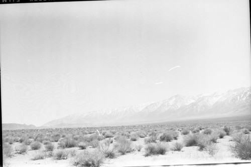 Misc. Valleys, Owens Valley and Sierra Nevada, view South