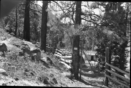 Backcountry Cabins and Structures, Kern Hot Springs, bath house showing new shakes, puncheon walk, rail fence