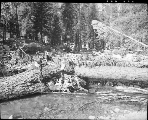 Floods and Storm Damage, Flood damage to campground following 7.1 inches of rain September 4 and 5