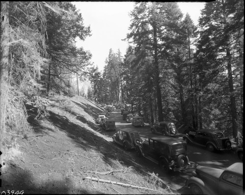 Vehicular Use, Cars parked along road to parking area at Moro Rock - Labor Day