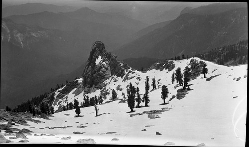 Joseph Dixon,, 330617, Alta Peak, SNP, Foxtail Pine, looking down on Tharps Rock. Middle Fork Kaweah River Canyon