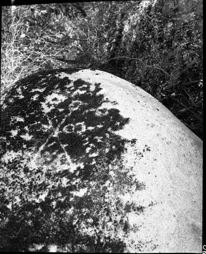 Military, Administration, 8th Cavalry insignia on rock at site of old Rocky Gulch Ranger Station near lower end of Colony Mill Road