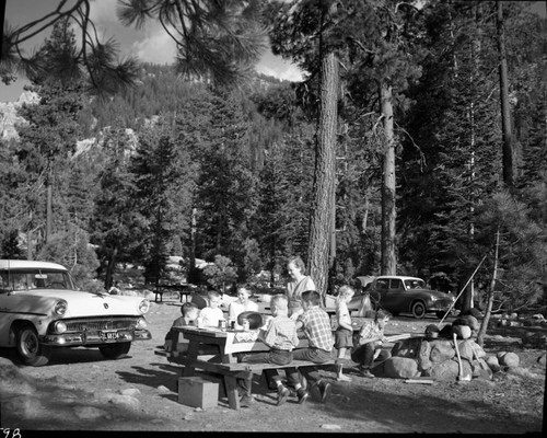 Camping, Log Bridge Campground