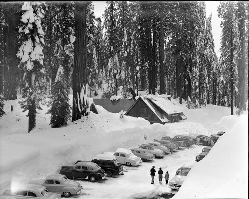 Record Heavy Snows, Giant Forest Coffee Shop in deep snow. Concessioner Facilities, Vehicular use