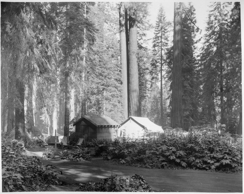 Camping, Semi-permanent Camp. Hurd Camp. [8x10 print]