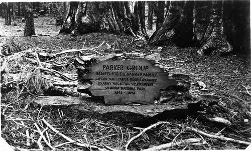 Signs, Parker Group