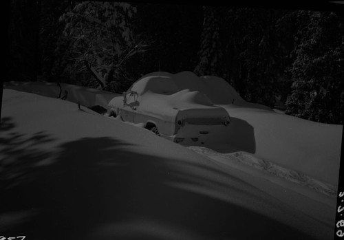 Record Heavy Snows, Critical snow conditions at Grant Grove after storm of February 4, 5, 6