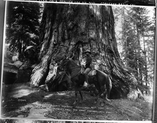 Military, Administration, General Grant Tree, Cavalry soldier at base of General Grant Tree. Unknown Date