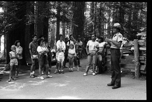 Interpretive Activities, NPS Individuals. Ranger-Naturalist Ken Cottrell talks with a group about the ecology of Giant Sequoias