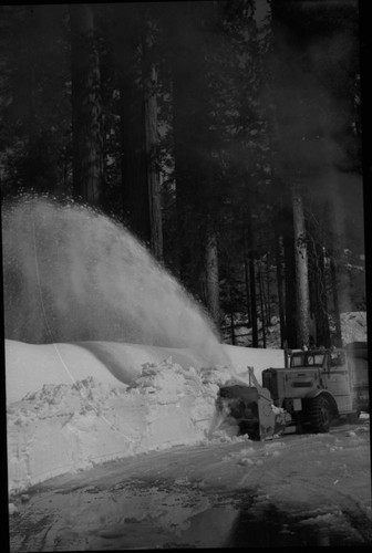 Record Heavy Snows, Vehicles and Equipment. Snow conditions at the Grant Tree parking area. Area was abandoned after February 15 due to critical conditions elsewhere